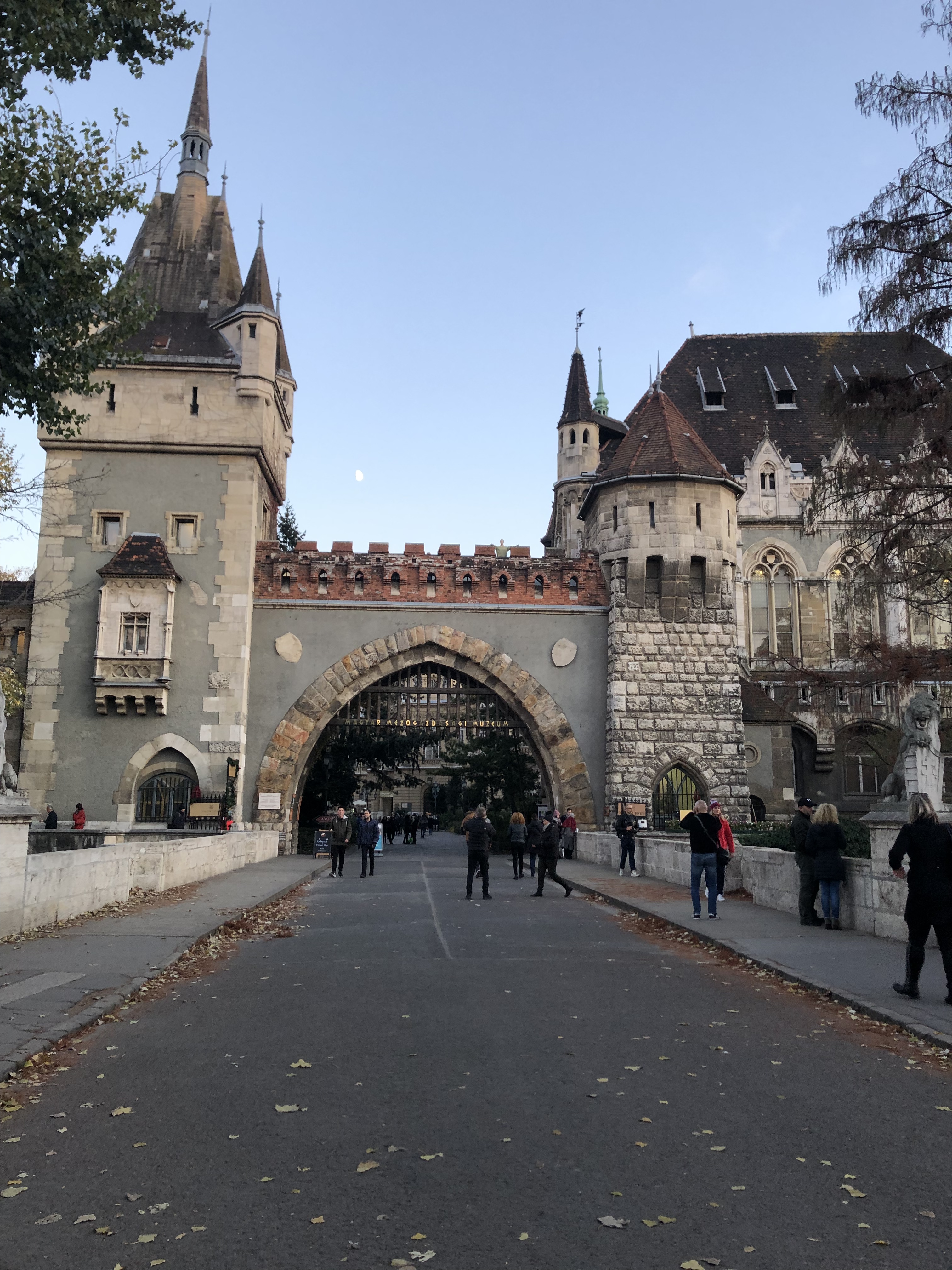 D271FE3A-0855-47D4-B0E4-882C902F85AB