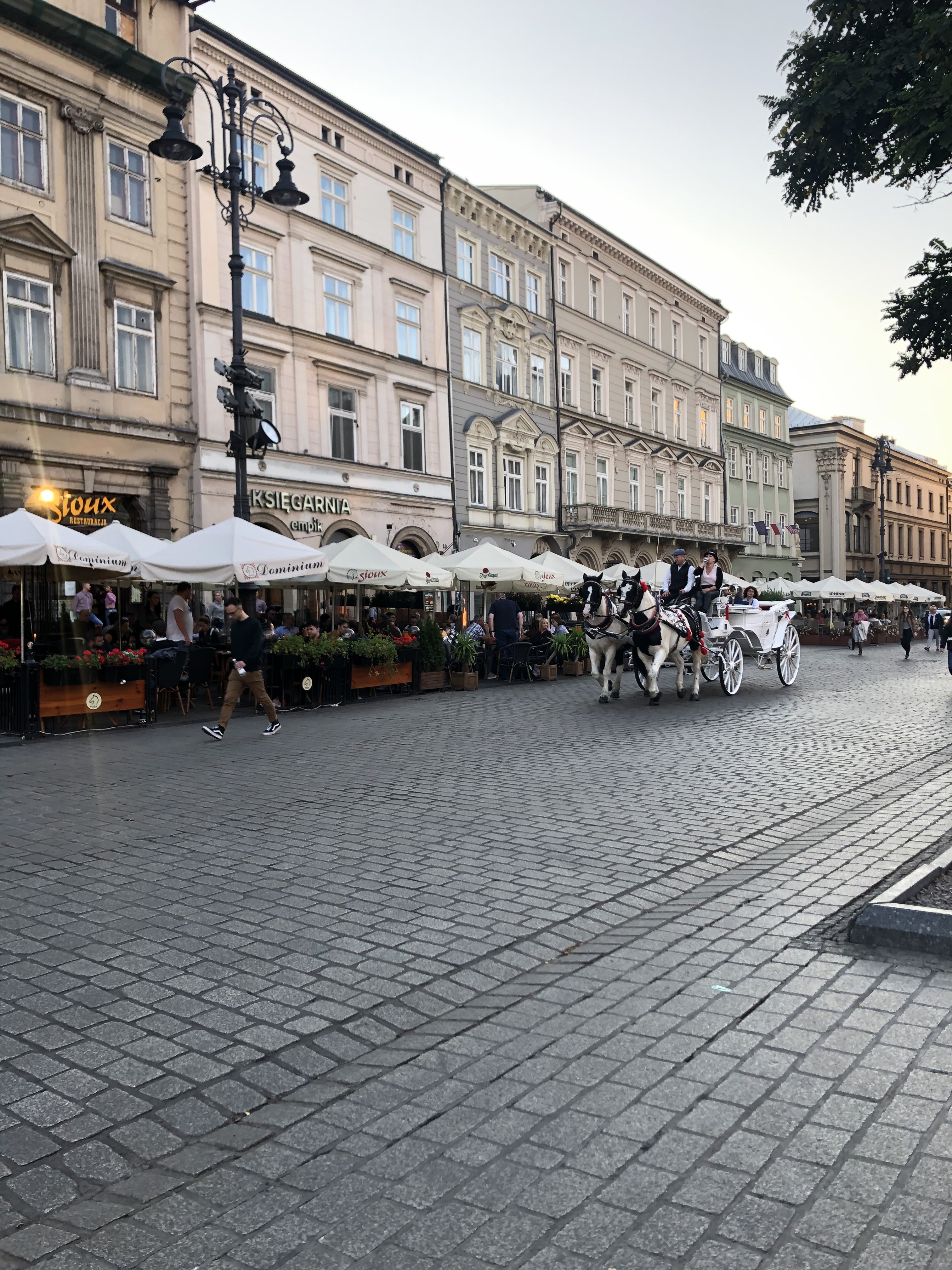 CFFE3FC8-E864-41CA-95E4-3CC483431F4D