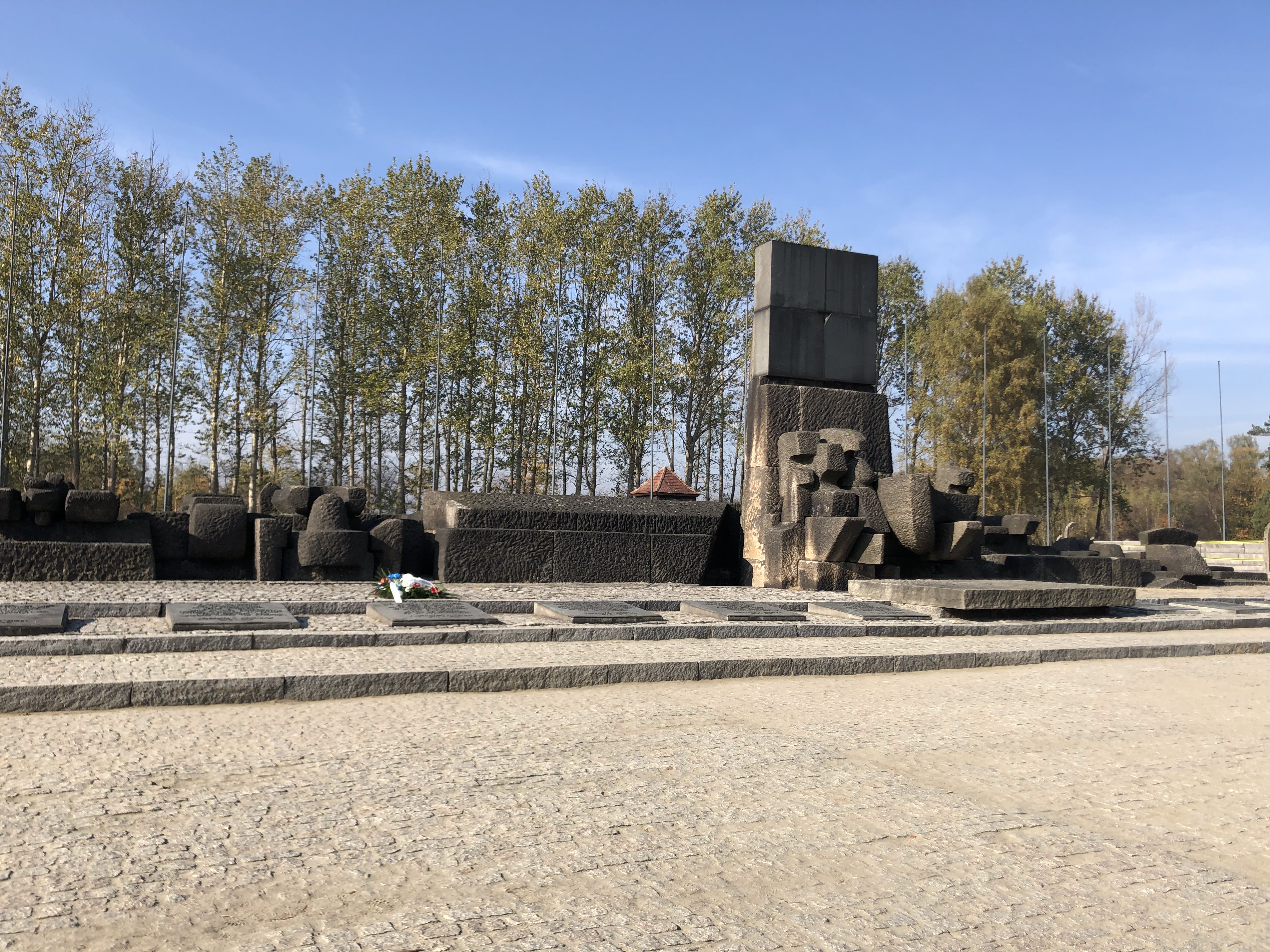 F4053F0A-80C9-4965-B59F-A5E540FDA8C4